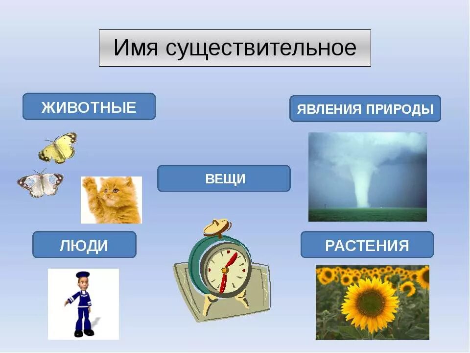 Урок обобщение имя существительное 2 класс. Имя существительное. Имя существительное 2 класс. Имя существительному 2 класс. Сия существительное 2 класс.