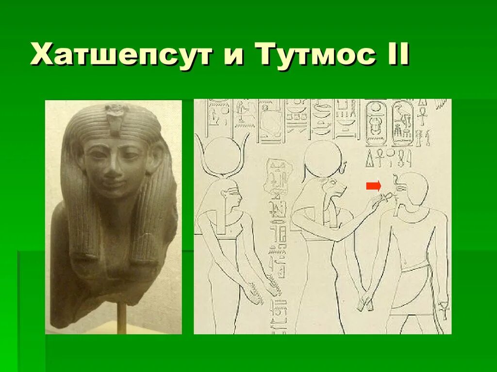 Тутмос ii. Тутмос и хатшепсут. тутмос 2 и хатшепсут. хатшепсут и тутмос 3. тутмос 2.