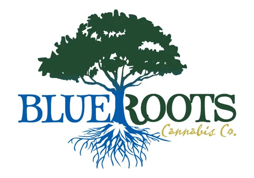 Корни логотип. Root группа лого. Bulbs & roots логотип. Moduleo roots логотип.