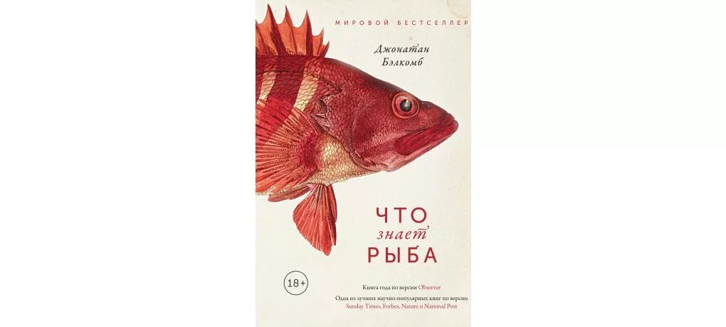 Все знают что рыбы