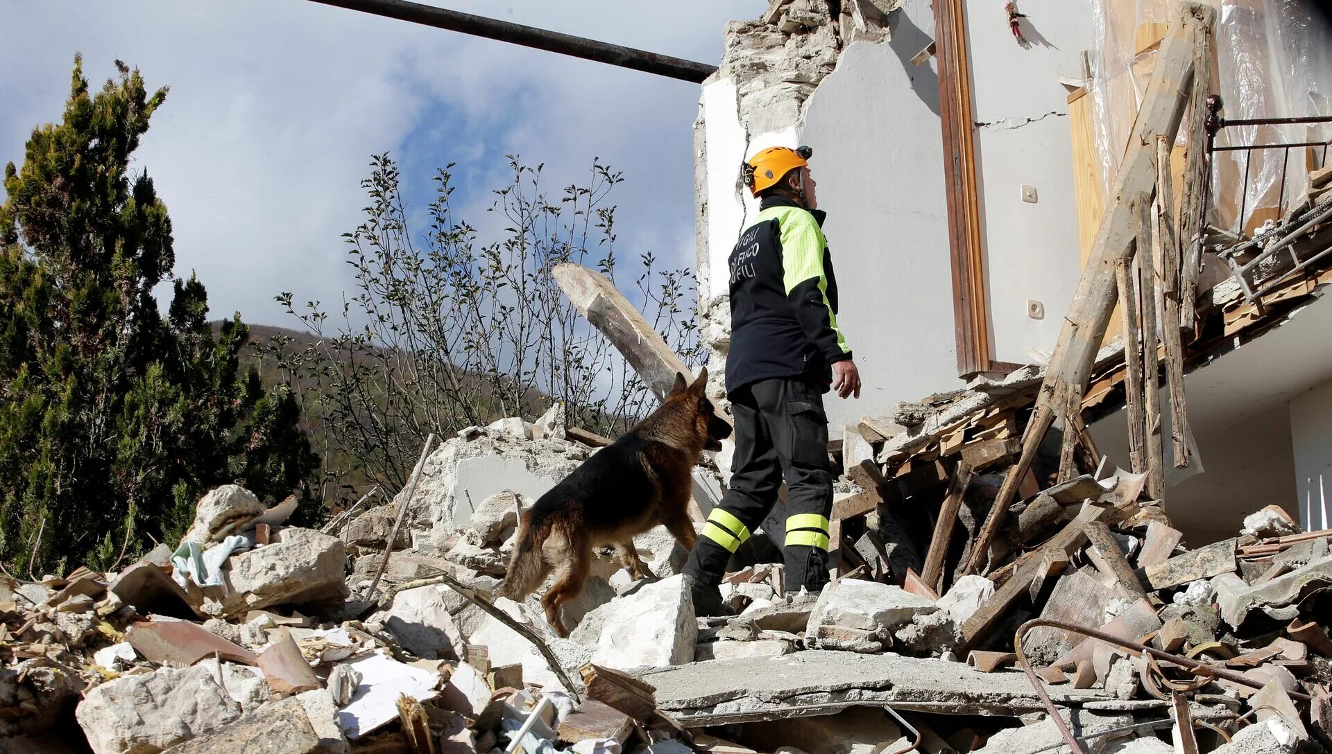 Спасательные работы при землетрясении. Собака спасатель на завалах. Собаки спасатели при землетрясениях.