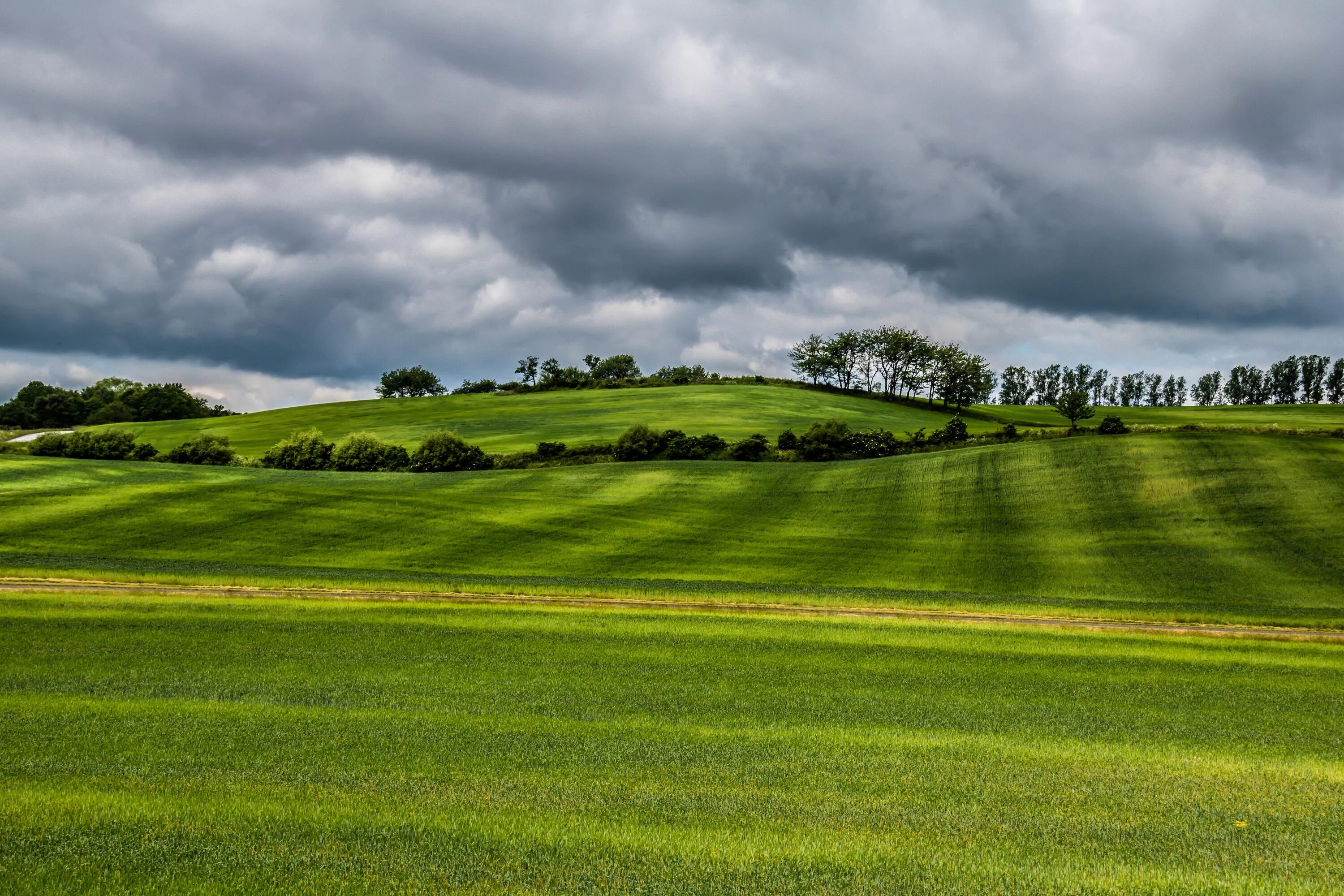 Ландшафт поле. Поле панорама. Поле с холмами. Header fields