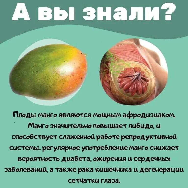 Манго фрукт полезные свойства и противопоказания. Что полезного в манго. Манго польза. Полезные качества манго. Полезные витамины в манго.