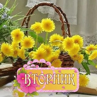Доброе утро вторника лета