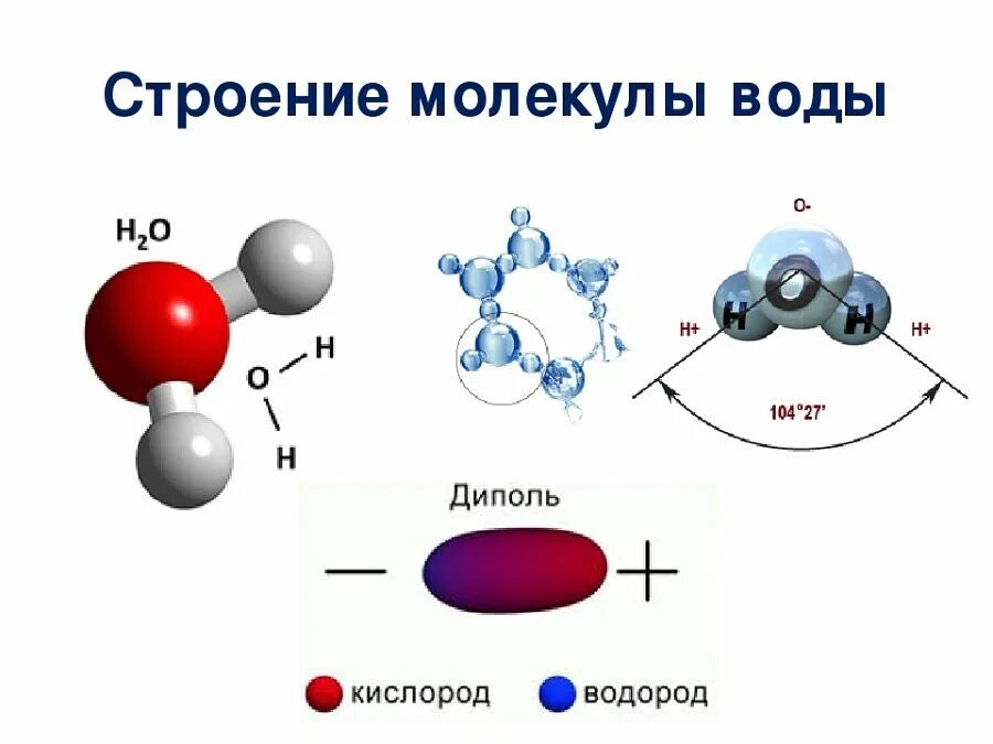 Состав воды биология. Структура формулы молекулы воды. Строение молекулы воды схема. Схема структуры молекулы воды. Химическое строение молекулы воды.