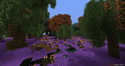 Forest 1.12 2