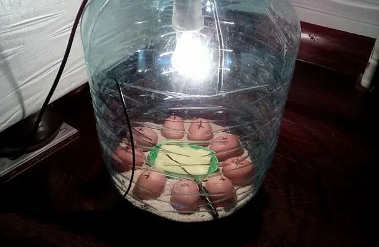Инкубатор из бутылки. Самодельный домашний инкубатор. инкубатор для яиц пластиковый. инкубатор из пластиковой бутылки. самодельный инкубатор для куриных.