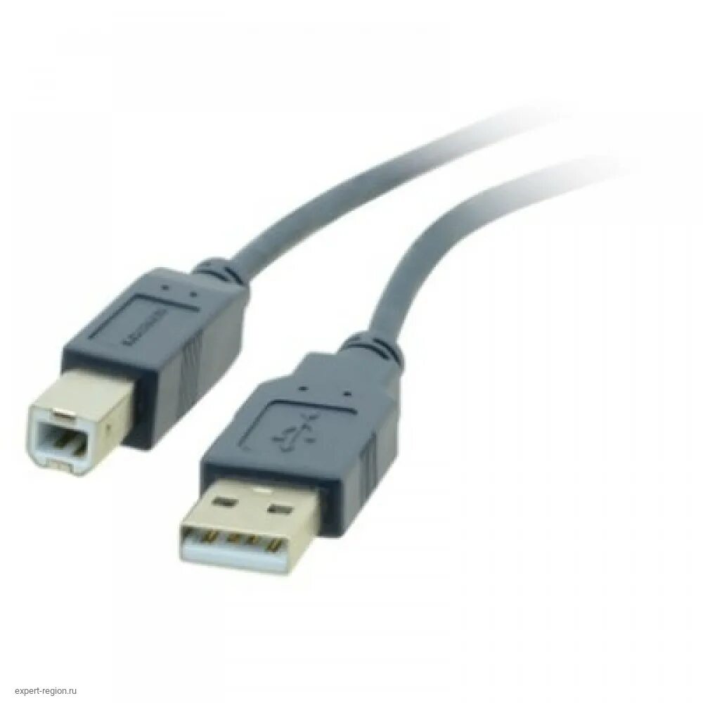 Кабель типа b. Кабель Kramer (c-USB/ab-10). USB 2.0 Type a Type b кабель. Kramer Electronics c-USB/ab-10 (96-0215010). Кабель c-usb3/ab.