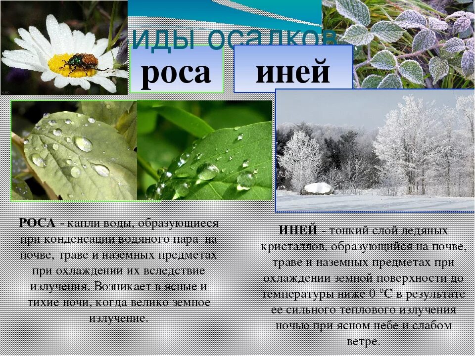 Реферат на тему осадки. Иней это явление природы. Роса и иней. Иней атмосферные осадки. Изморозь это осадки