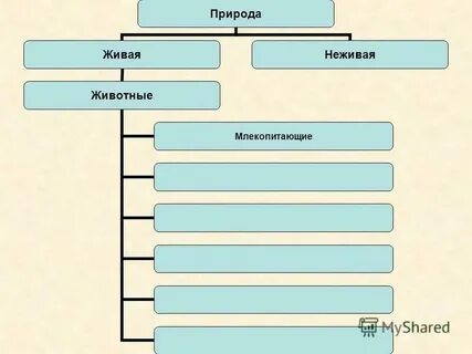 Отличие живой и неживой природы
