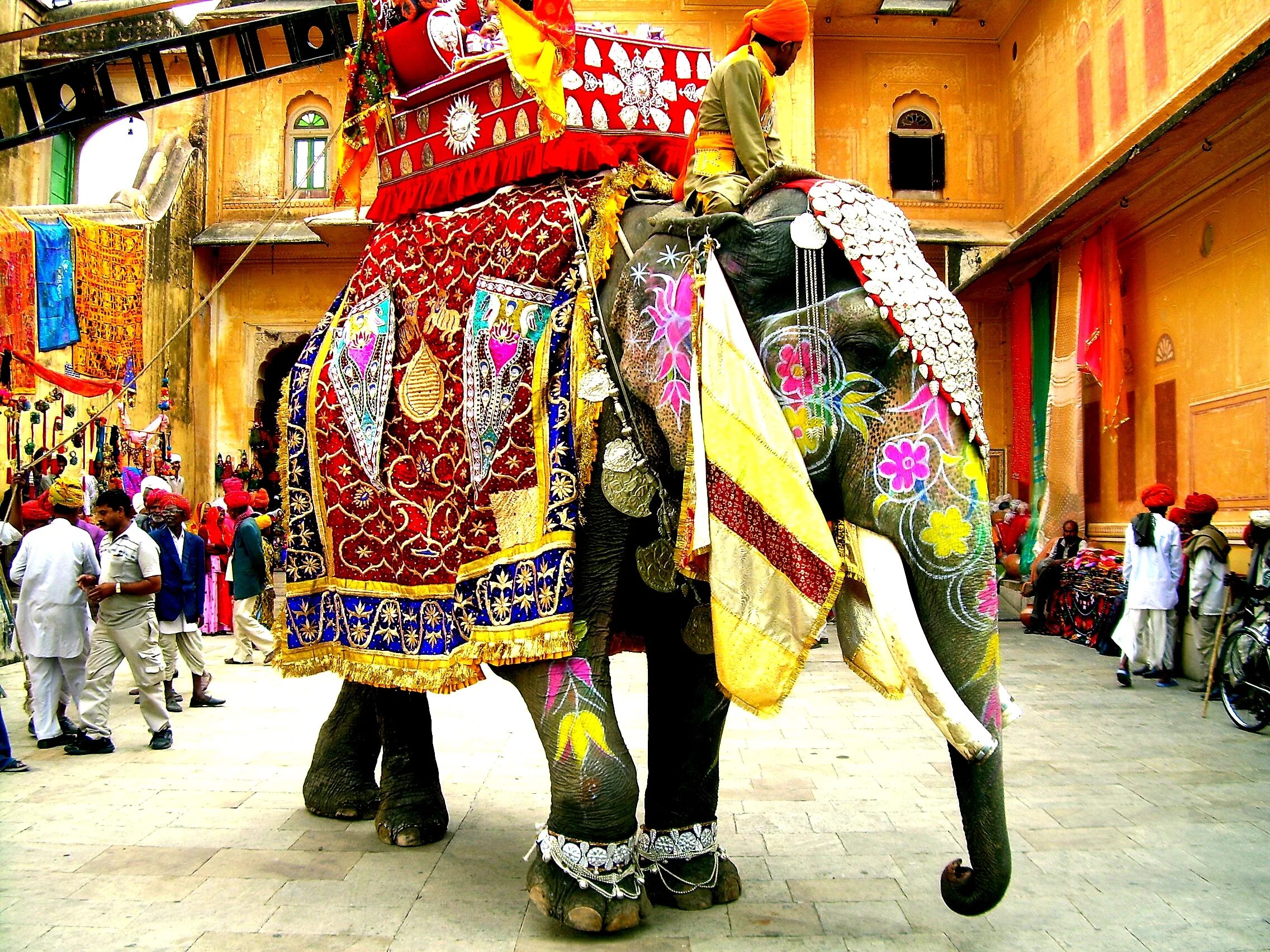 Фестиваль слонов — Джайпур, Индия. Фестиваль слонов в Индии. Джорхат Индия. Индийский слон в Индии.