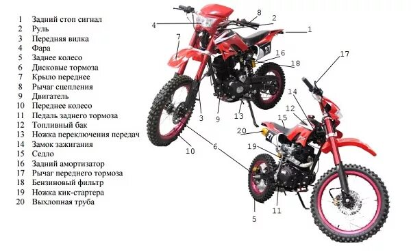 Из чего состоит питбайк 125 кубов. Схема двигателя питбайка 125 кубов. Мотор питбайка 125 схема. Строение двигателя питбайка 125. Из чего состоит мотоцикл