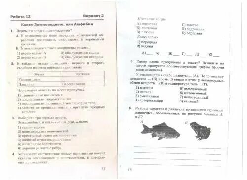 Контрольная по земноводных 8