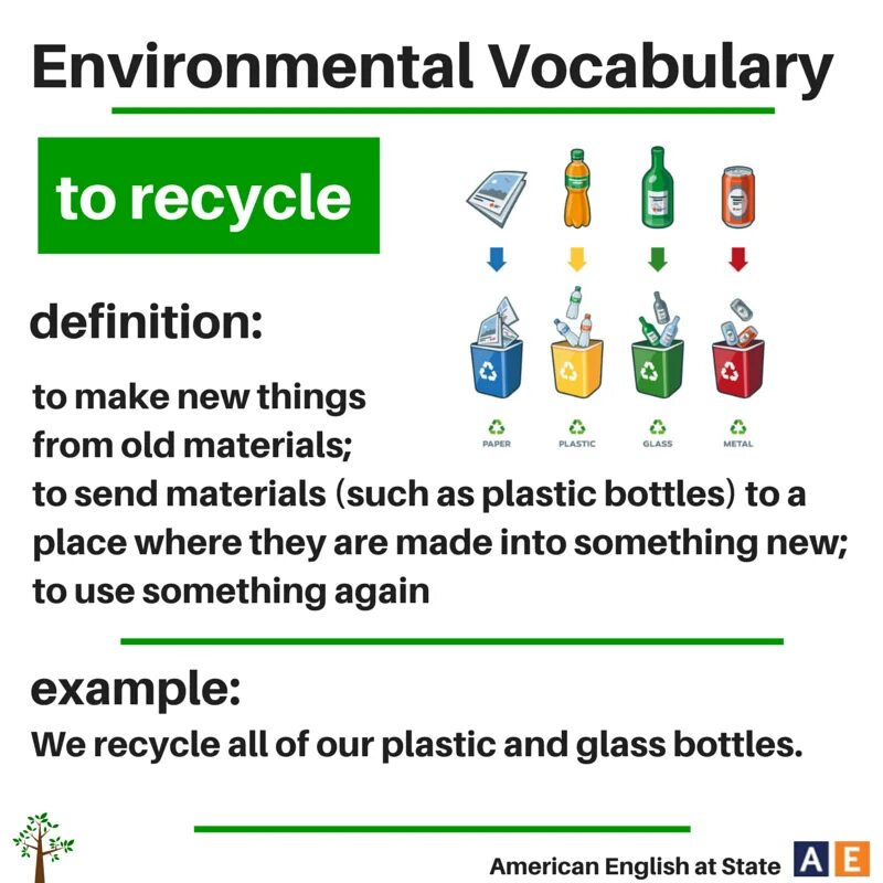 Environment Vocabulary. Environmental Vocabulary. Environmental problems Vocabulary. Environmental pollution Vocabulary. Ecology vocabulary