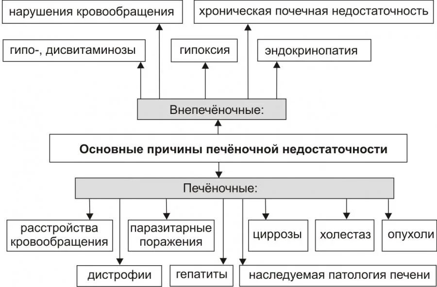 Причины печеночной недостаточности. Основные причины печеночной недостаточности. Основные изменения при острой печеночной недостаточности:. КЩС при печеночной недостаточности. Причины развития хронической печеночной недостаточности.