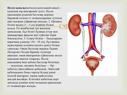 Ресейлік атақты порно көру