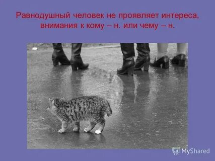 Как не быть равнодушным