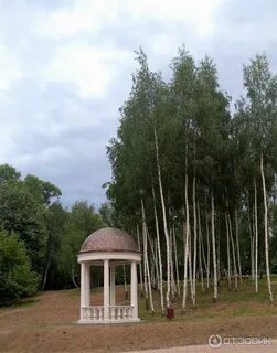 Сестрорецком парке клина