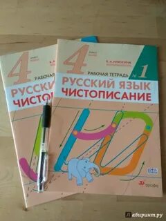 Русский язык рабочая тетрадь чистописание илюхина