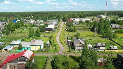 3 кирсы