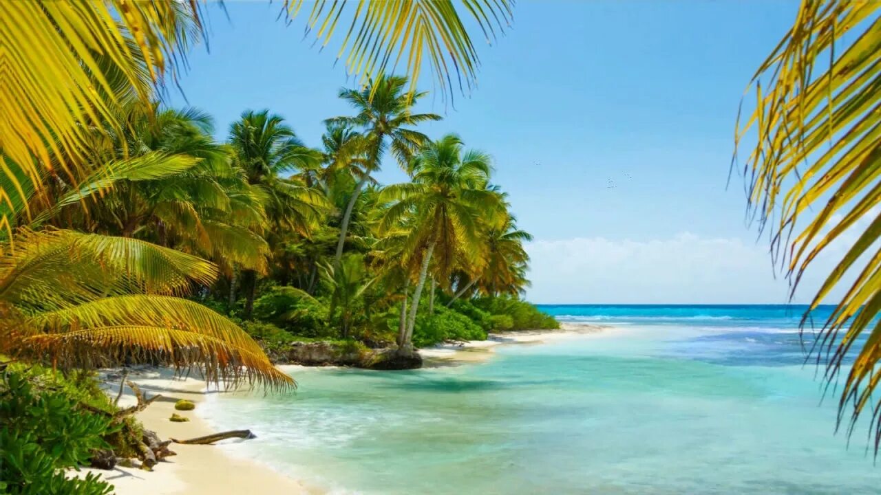 Island trip. Карибское море. Карибское море пляж. Острова Карибского бассейна. Карибы острова.