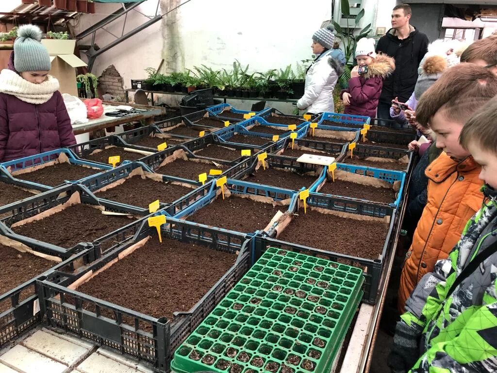 зеленое хозяйство сайт. зеленое хозяйство сайт. рабочий зеленого хозяйства. зеленое хозяйство сайт. мп «зеленхоз».