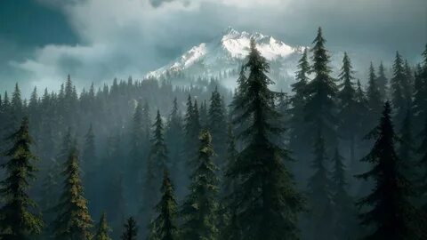Gone forest