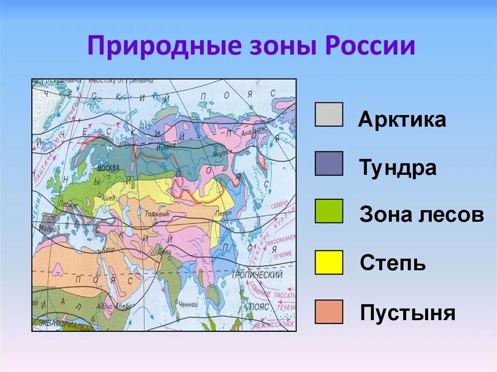 Перечислите природные зоны в порядке. Природные зоны России 4 класс окруж мир. Карта природных зон мира 4 класс окружающий мир. Окружающий мир 4 класс зоны природные зоны. Природные зоны тундры 4 класс окружающий мир на карте.