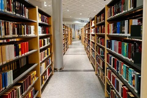 Литгород моя библиотека