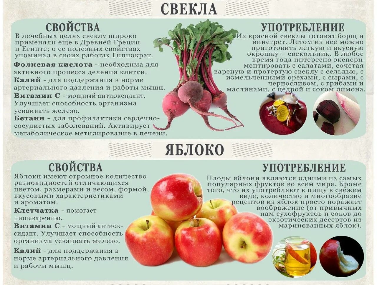 Вредна ли вареная свекла. Чем полезна свекла для организма. Полезные витамины в свекле. Чем полезна свекла. Свекла польза.