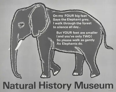 An elephant can перевод
