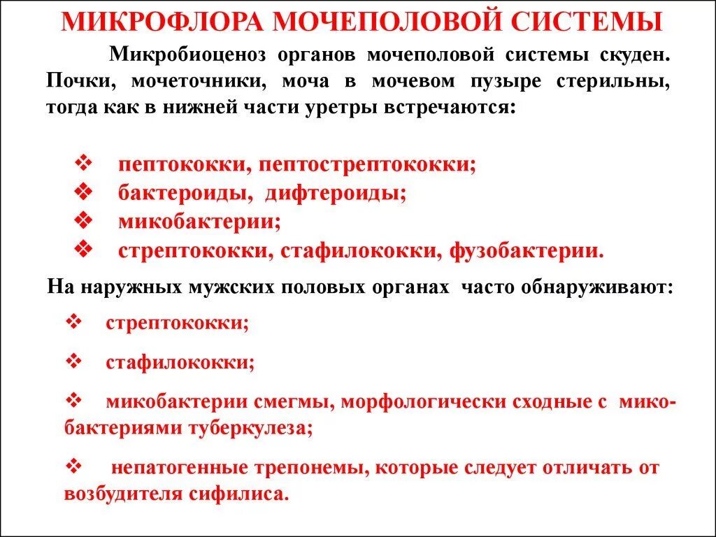 Цистит половым путем от мужчины к женщине. Нормальная микрофлора мочеполовой системы человека. Основные представители нормальной микрофлоры мочевыводящих путей. Представители нормальной микрофлоры мочеполовой системы. Нормальная микрофлора мочеполового тракта.