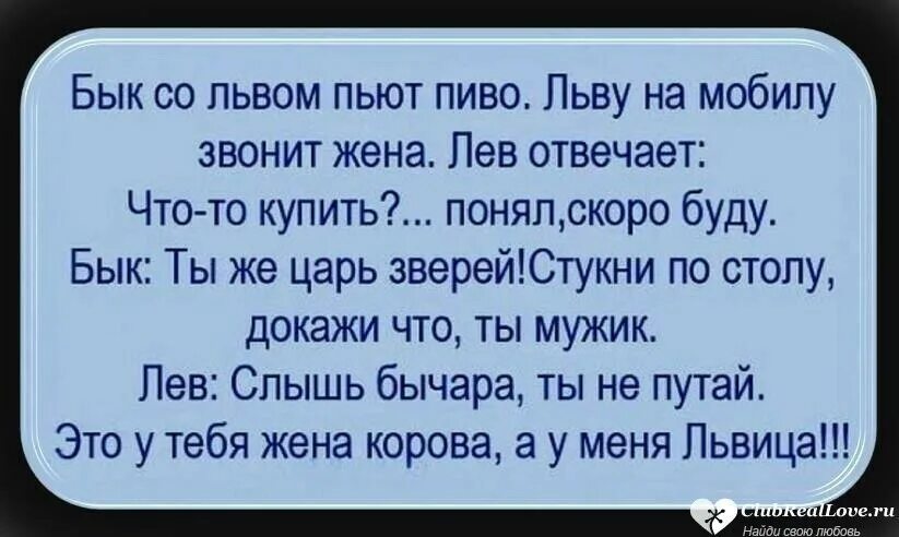 Дай мобилу позвонить позвонила. Анекдот про Льва и быка. Анекдот про жену Льва и быка. Бык со львом пьют пиво. Анекдот про львицу и корову.