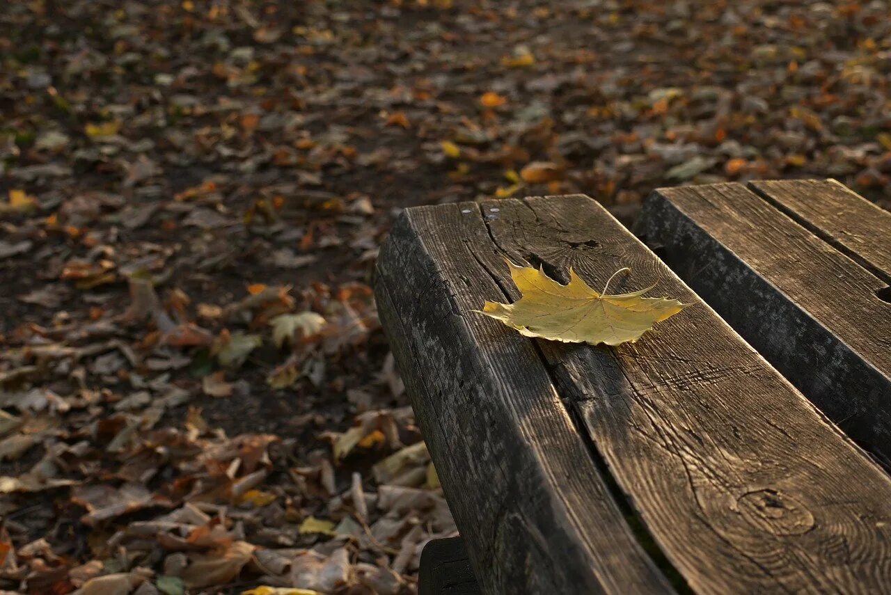 Осень грустит. Грустная осень. Осенняя грусть картинки. Осень одиночество. Грустная осень картинки.