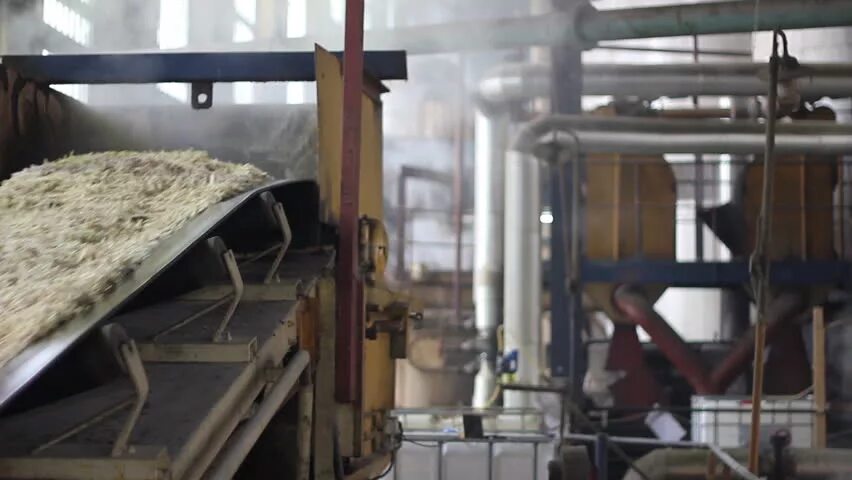 Кагатное поле сахарного завода. Сахарная промышленность. Краснодарский край сахара завод. Сахарный завод изобильный. Сахарная промышленность.