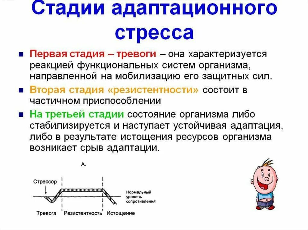 Стадия адаптации стресса. Стадии стресса. Фазы стресса. Фазы адаптации при стрессе.