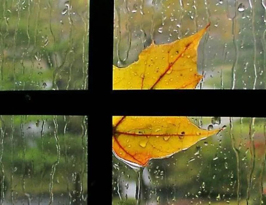 Осенний стучать. Дождь в окне. Осень дождь. Дождь за окном. Осень дождь окно.