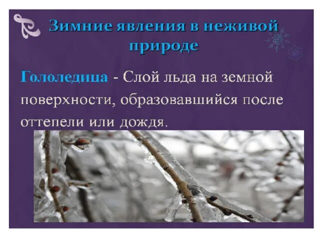 Какие явления происходят в неживой природе зимой. Явления неживой природы зимой. зимние вления в не живой природе. йзимние евление вне жывойприроде. название зимних явлений природы.