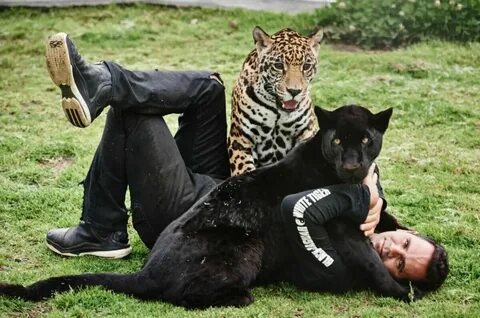 Люди которые с животными занимаются