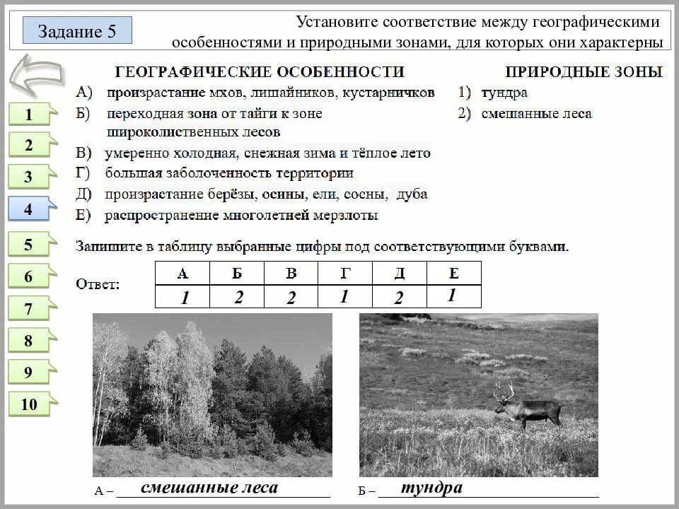 Установите соответствие природная зона характерная почва