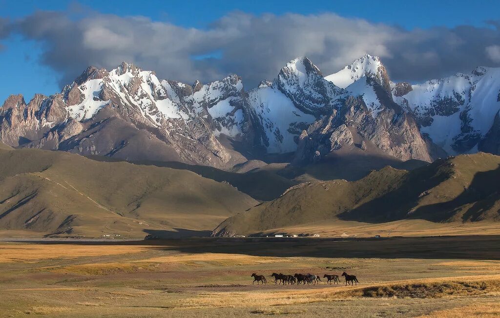 Средняя азия природа. Горы средней азии, на тянь-шань. Средняя азия киргизия. Небольшие сопки средней азии. Оазис ферганская долина.