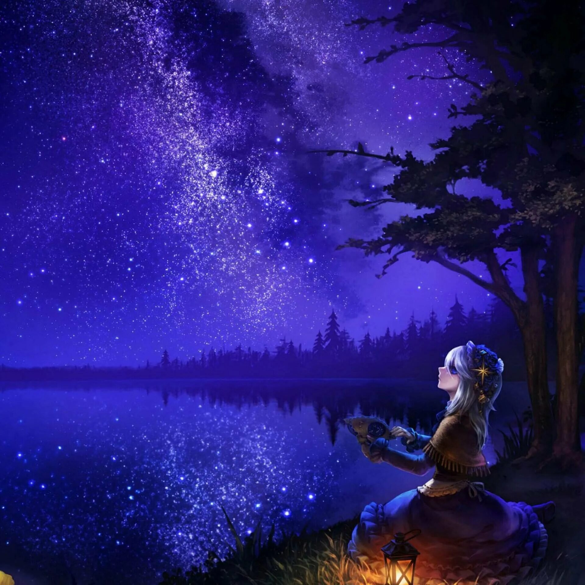 Волшебные картинки. Сказочная ночь. Прекрасная ночь. Ночное озеро аниме. Волшебная ночь.