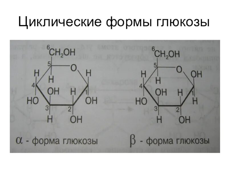 Циклическая молекула глюкозы. Цикличная формула Глюкозы. Циклическая формула Глюкозы. Циклические формулы Глюкозы и фруктозы. Линейная и циклическая формула Глюкозы.