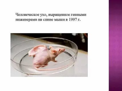 После клонирования