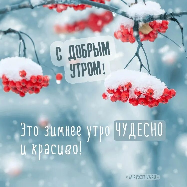 Доброе утро хорошего дня зимой картинки. С добрым зимним. Доброе Снежное утро. Зимнее утро. С добрым снежным утром.