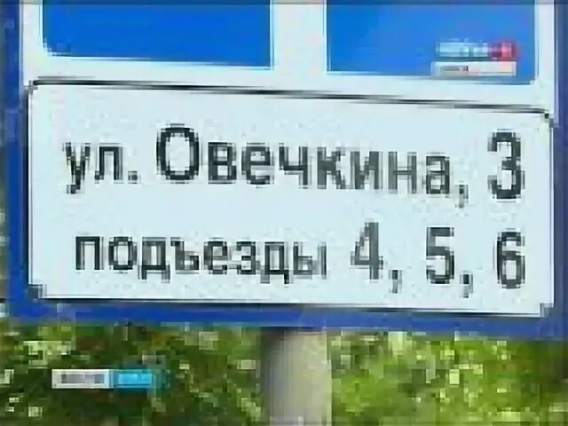 Овечкина курск