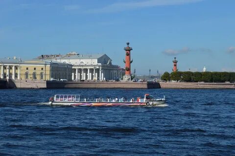 Пальмира петербург