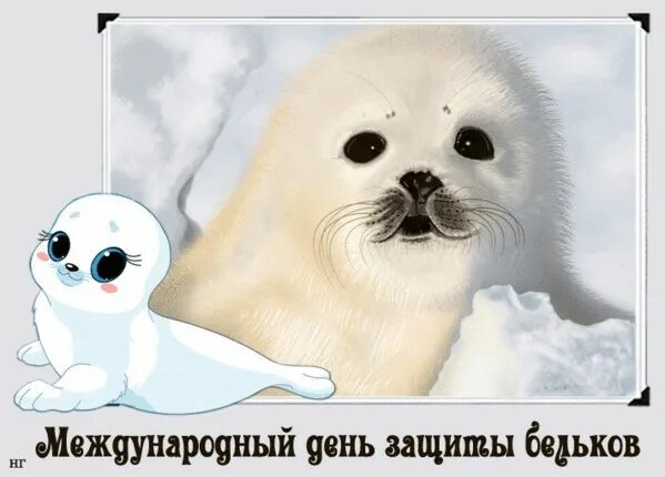 День защиты бельков. День белек. День белек. Международный день бельков. День белек.