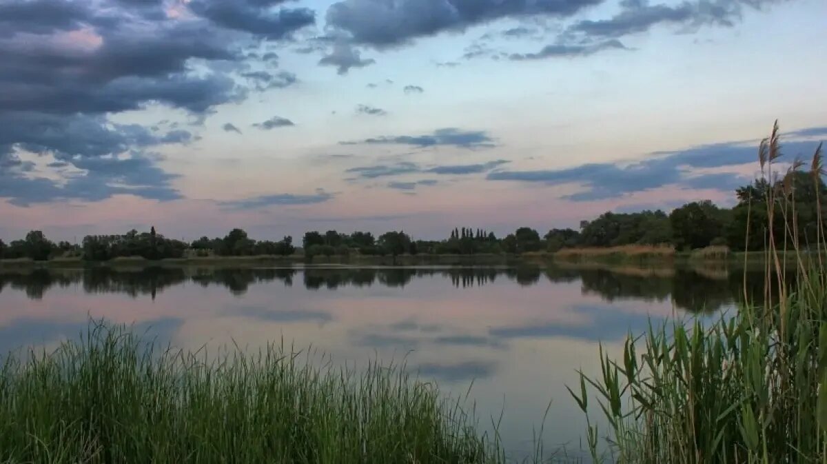 Петропавловка воронежская область дома. Петропавловка острогожский. Разрушенный сельский храм. Петропавловка острогожский. Воронежская область петропавловка озеро.