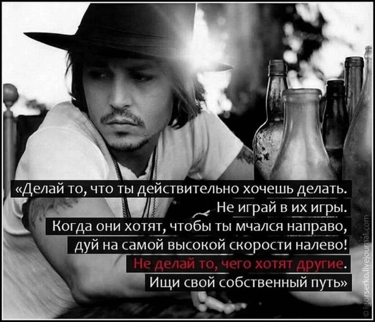 Цитаты. Цитаты великих людей о жизни. Я никому ничего не должна цитаты. Цитаты про современных. Высказывания известных женщин.